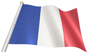 France flag pole animated h