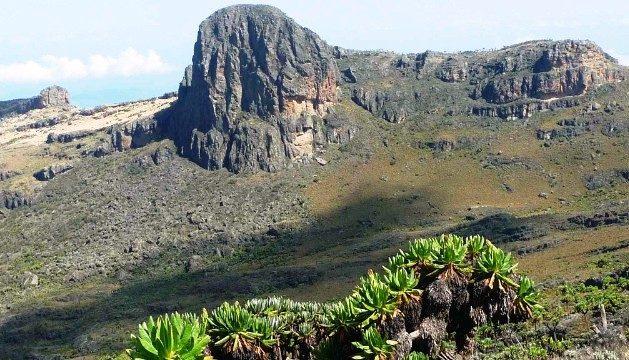 Mount elgon national parksss